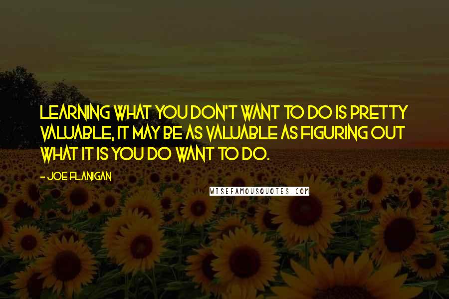 Joe Flanigan Quotes: Learning what you don't want to do is pretty valuable, it may be as valuable as figuring out what it is you do want to do.