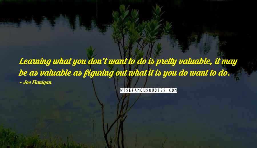 Joe Flanigan Quotes: Learning what you don't want to do is pretty valuable, it may be as valuable as figuring out what it is you do want to do.