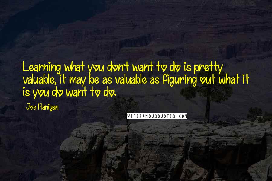 Joe Flanigan Quotes: Learning what you don't want to do is pretty valuable, it may be as valuable as figuring out what it is you do want to do.