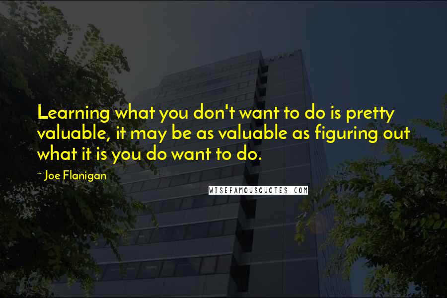 Joe Flanigan Quotes: Learning what you don't want to do is pretty valuable, it may be as valuable as figuring out what it is you do want to do.