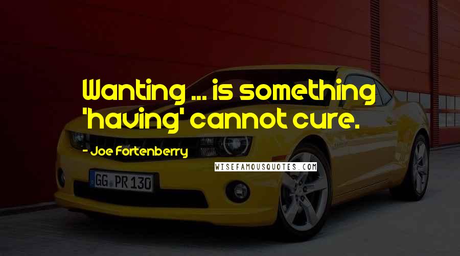 Joe Fortenberry Quotes: Wanting ... is something 'having' cannot cure.