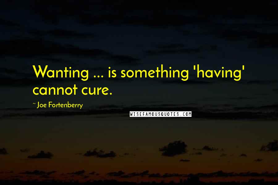 Joe Fortenberry Quotes: Wanting ... is something 'having' cannot cure.