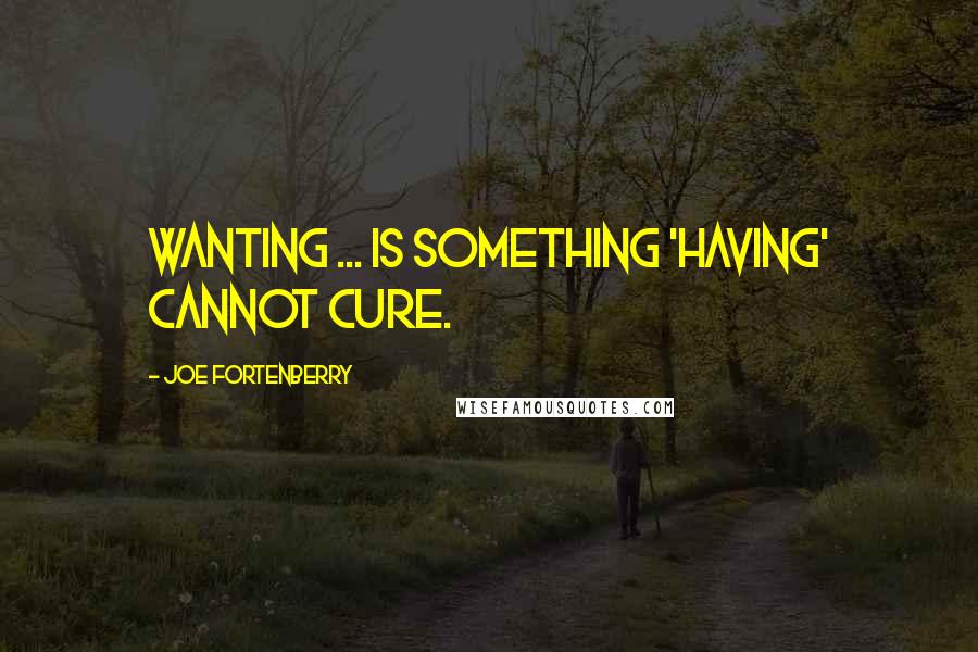 Joe Fortenberry Quotes: Wanting ... is something 'having' cannot cure.