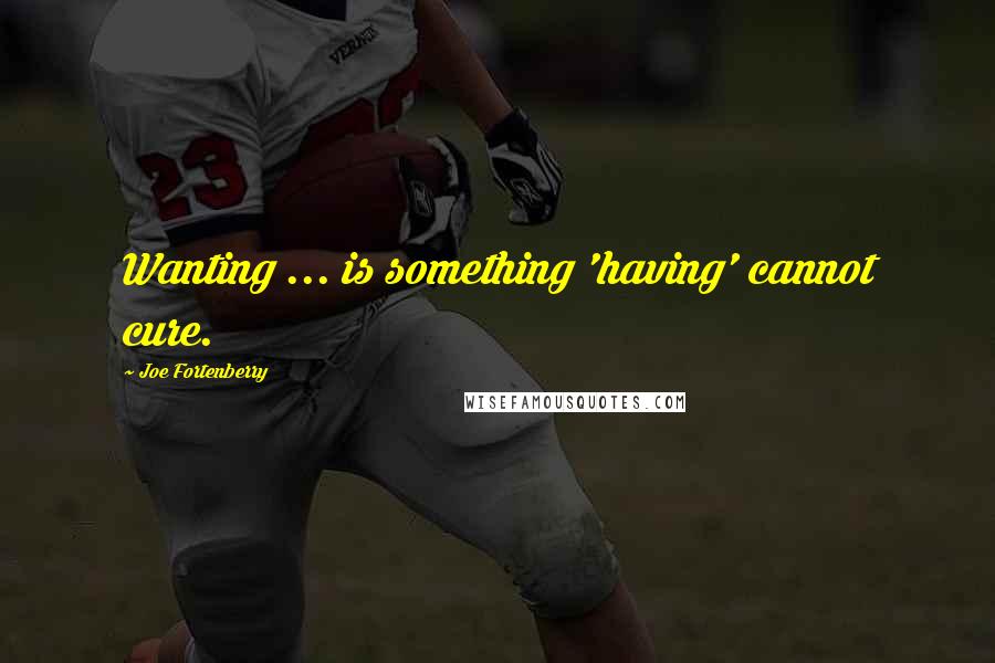 Joe Fortenberry Quotes: Wanting ... is something 'having' cannot cure.