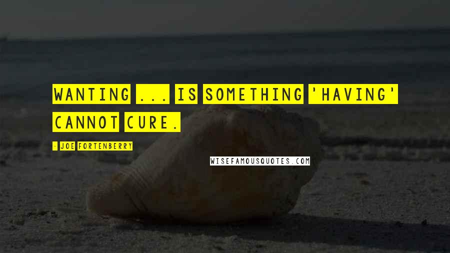 Joe Fortenberry Quotes: Wanting ... is something 'having' cannot cure.