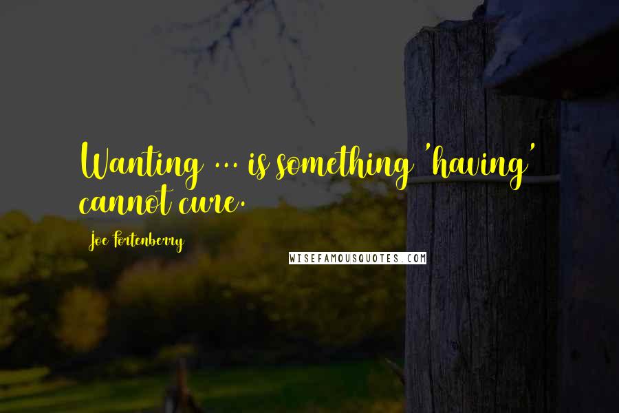 Joe Fortenberry Quotes: Wanting ... is something 'having' cannot cure.