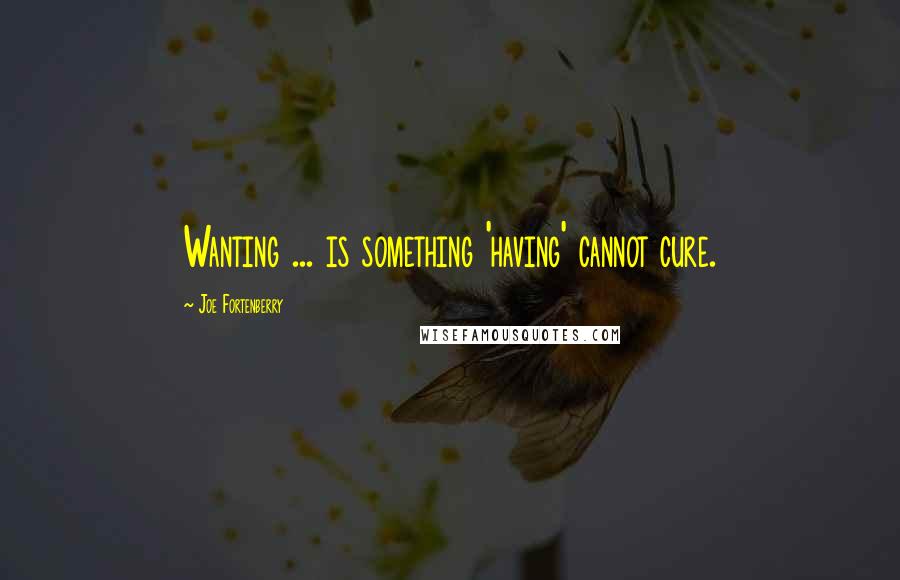 Joe Fortenberry Quotes: Wanting ... is something 'having' cannot cure.