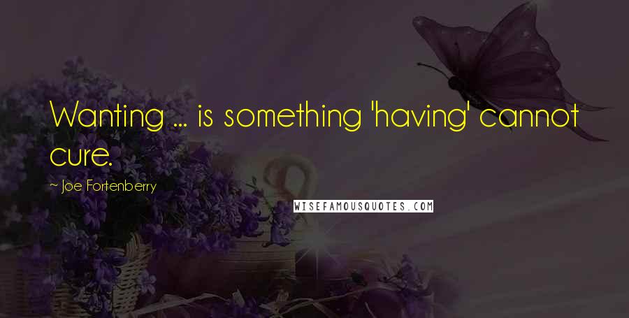 Joe Fortenberry Quotes: Wanting ... is something 'having' cannot cure.