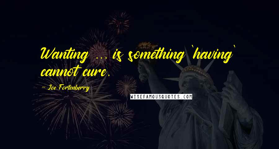 Joe Fortenberry Quotes: Wanting ... is something 'having' cannot cure.