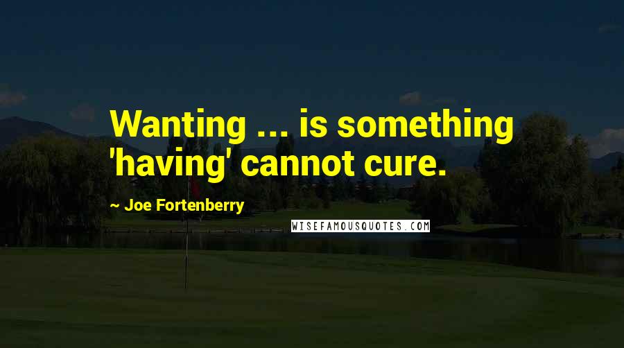 Joe Fortenberry Quotes: Wanting ... is something 'having' cannot cure.