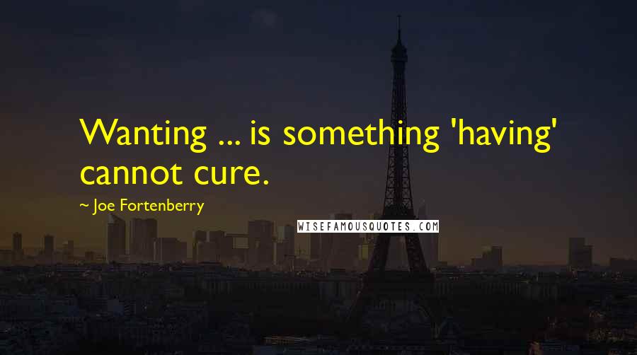 Joe Fortenberry Quotes: Wanting ... is something 'having' cannot cure.