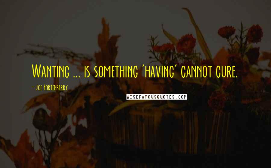 Joe Fortenberry Quotes: Wanting ... is something 'having' cannot cure.