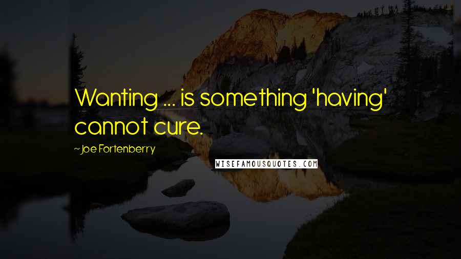 Joe Fortenberry Quotes: Wanting ... is something 'having' cannot cure.