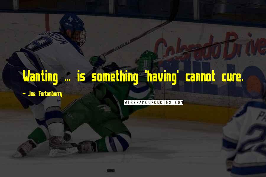 Joe Fortenberry Quotes: Wanting ... is something 'having' cannot cure.