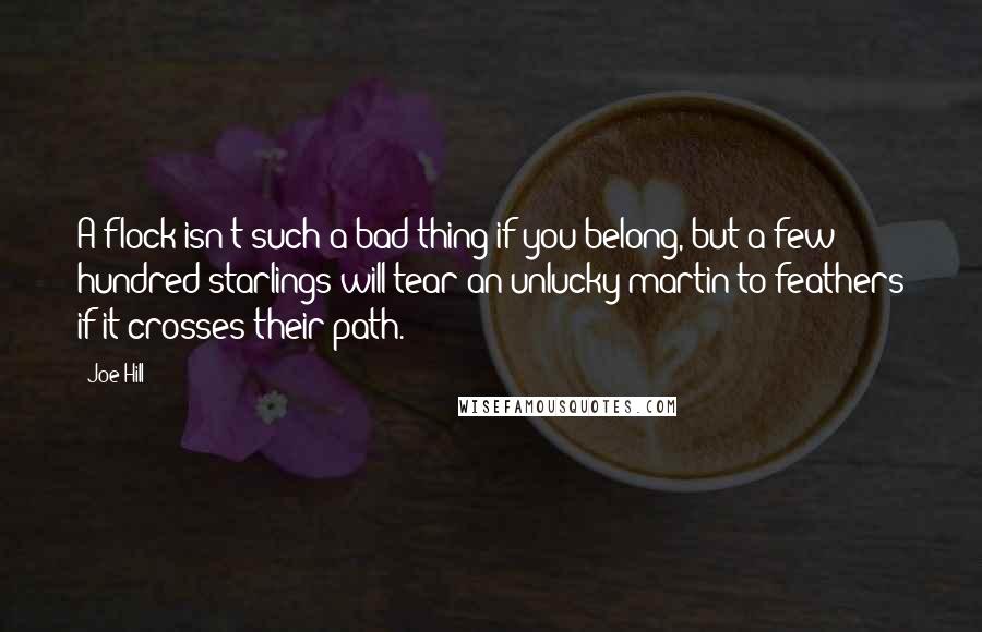 Joe Hill Quotes: A flock isn't such a bad thing if you belong, but a few hundred starlings will tear an unlucky martin to feathers if it crosses their path.