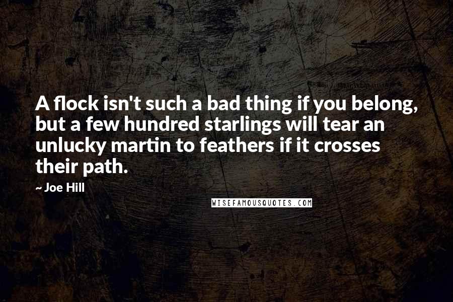 Joe Hill Quotes: A flock isn't such a bad thing if you belong, but a few hundred starlings will tear an unlucky martin to feathers if it crosses their path.