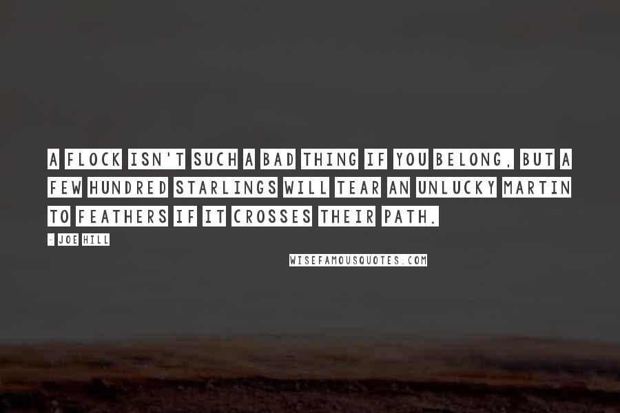 Joe Hill Quotes: A flock isn't such a bad thing if you belong, but a few hundred starlings will tear an unlucky martin to feathers if it crosses their path.