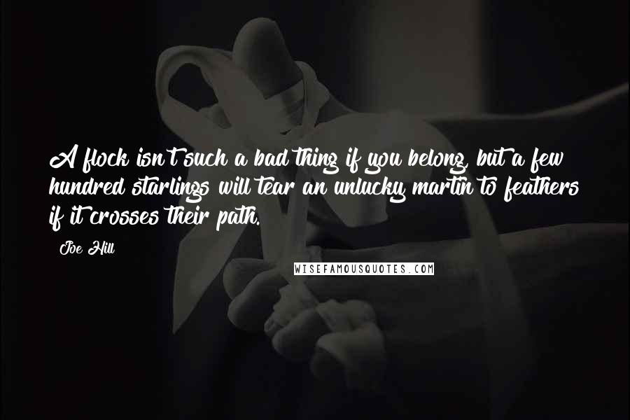 Joe Hill Quotes: A flock isn't such a bad thing if you belong, but a few hundred starlings will tear an unlucky martin to feathers if it crosses their path.