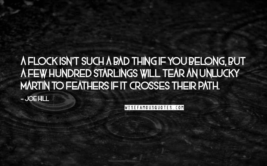Joe Hill Quotes: A flock isn't such a bad thing if you belong, but a few hundred starlings will tear an unlucky martin to feathers if it crosses their path.
