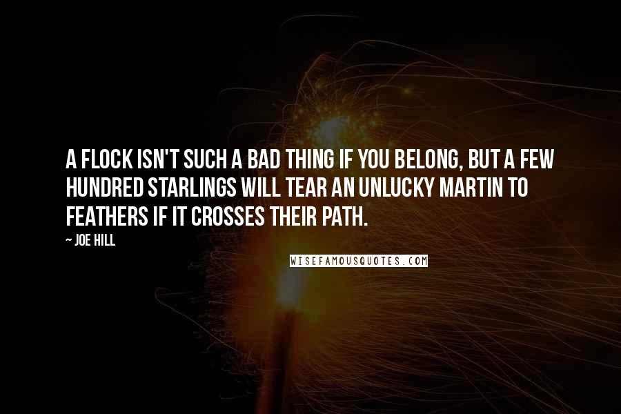 Joe Hill Quotes: A flock isn't such a bad thing if you belong, but a few hundred starlings will tear an unlucky martin to feathers if it crosses their path.