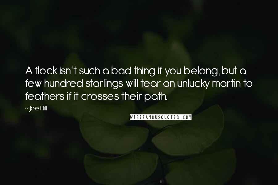 Joe Hill Quotes: A flock isn't such a bad thing if you belong, but a few hundred starlings will tear an unlucky martin to feathers if it crosses their path.