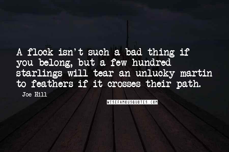 Joe Hill Quotes: A flock isn't such a bad thing if you belong, but a few hundred starlings will tear an unlucky martin to feathers if it crosses their path.