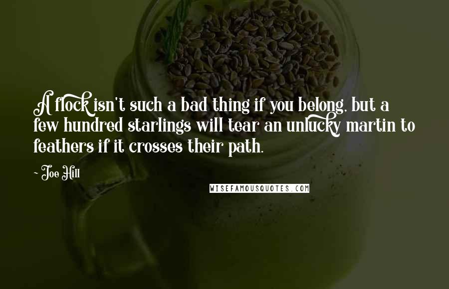 Joe Hill Quotes: A flock isn't such a bad thing if you belong, but a few hundred starlings will tear an unlucky martin to feathers if it crosses their path.