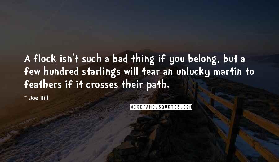 Joe Hill Quotes: A flock isn't such a bad thing if you belong, but a few hundred starlings will tear an unlucky martin to feathers if it crosses their path.