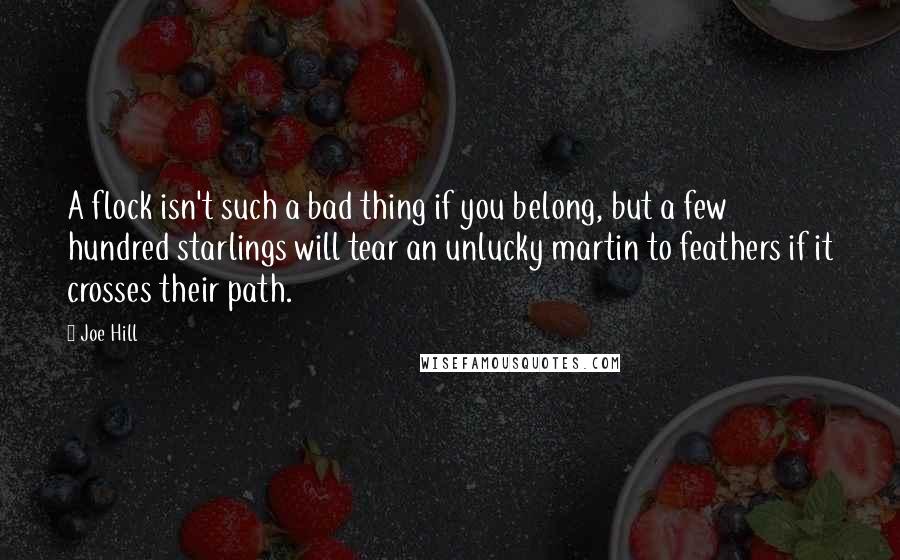 Joe Hill Quotes: A flock isn't such a bad thing if you belong, but a few hundred starlings will tear an unlucky martin to feathers if it crosses their path.