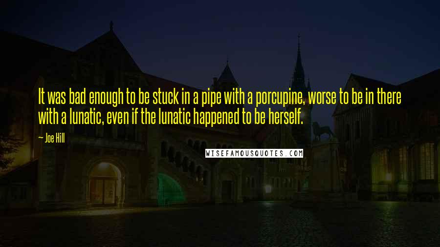 Joe Hill Quotes: It was bad enough to be stuck in a pipe with a porcupine, worse to be in there with a lunatic, even if the lunatic happened to be herself.