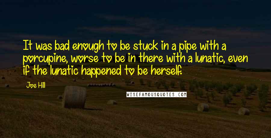 Joe Hill Quotes: It was bad enough to be stuck in a pipe with a porcupine, worse to be in there with a lunatic, even if the lunatic happened to be herself.