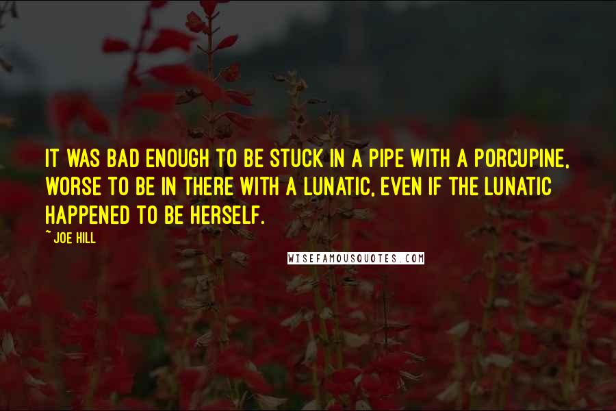 Joe Hill Quotes: It was bad enough to be stuck in a pipe with a porcupine, worse to be in there with a lunatic, even if the lunatic happened to be herself.