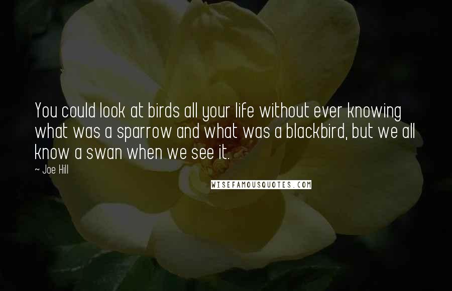 Joe Hill Quotes: You could look at birds all your life without ever knowing what was a sparrow and what was a blackbird, but we all know a swan when we see it.