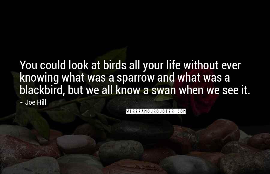 Joe Hill Quotes: You could look at birds all your life without ever knowing what was a sparrow and what was a blackbird, but we all know a swan when we see it.