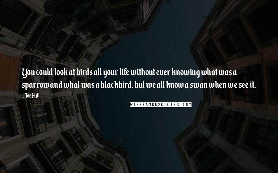 Joe Hill Quotes: You could look at birds all your life without ever knowing what was a sparrow and what was a blackbird, but we all know a swan when we see it.