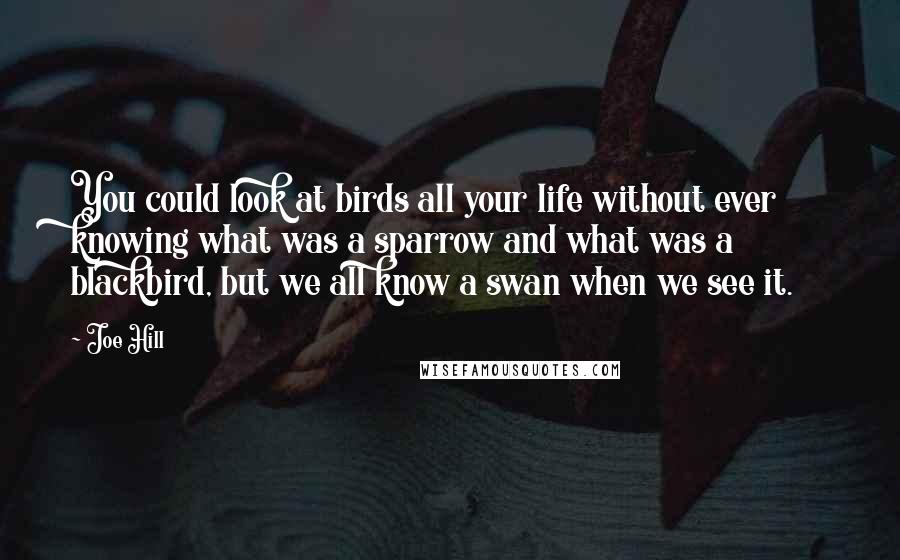 Joe Hill Quotes: You could look at birds all your life without ever knowing what was a sparrow and what was a blackbird, but we all know a swan when we see it.