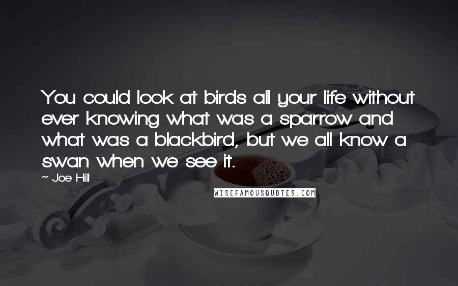 Joe Hill Quotes: You could look at birds all your life without ever knowing what was a sparrow and what was a blackbird, but we all know a swan when we see it.