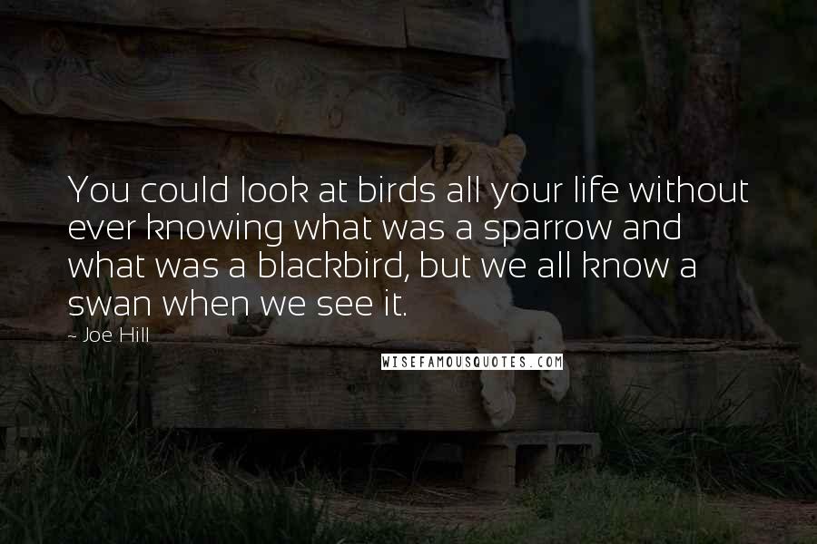 Joe Hill Quotes: You could look at birds all your life without ever knowing what was a sparrow and what was a blackbird, but we all know a swan when we see it.