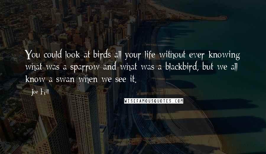 Joe Hill Quotes: You could look at birds all your life without ever knowing what was a sparrow and what was a blackbird, but we all know a swan when we see it.