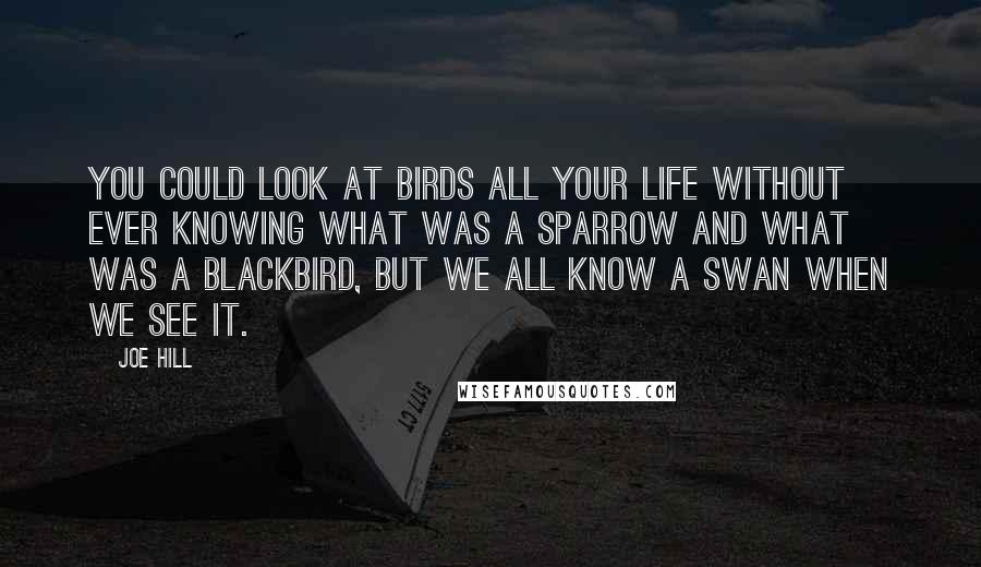 Joe Hill Quotes: You could look at birds all your life without ever knowing what was a sparrow and what was a blackbird, but we all know a swan when we see it.