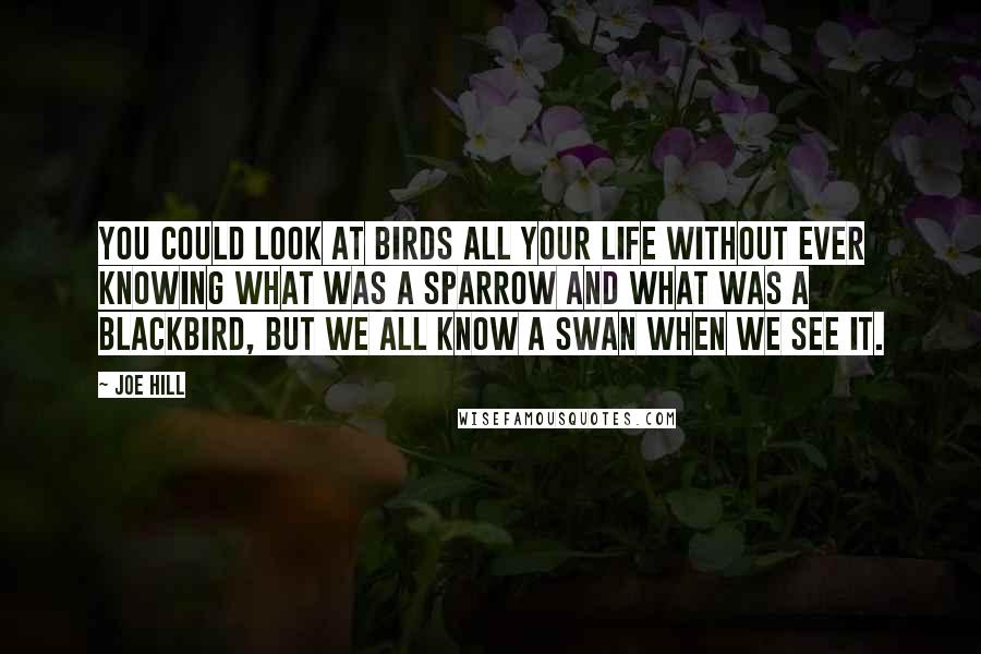 Joe Hill Quotes: You could look at birds all your life without ever knowing what was a sparrow and what was a blackbird, but we all know a swan when we see it.