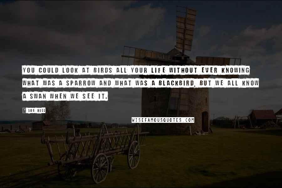 Joe Hill Quotes: You could look at birds all your life without ever knowing what was a sparrow and what was a blackbird, but we all know a swan when we see it.