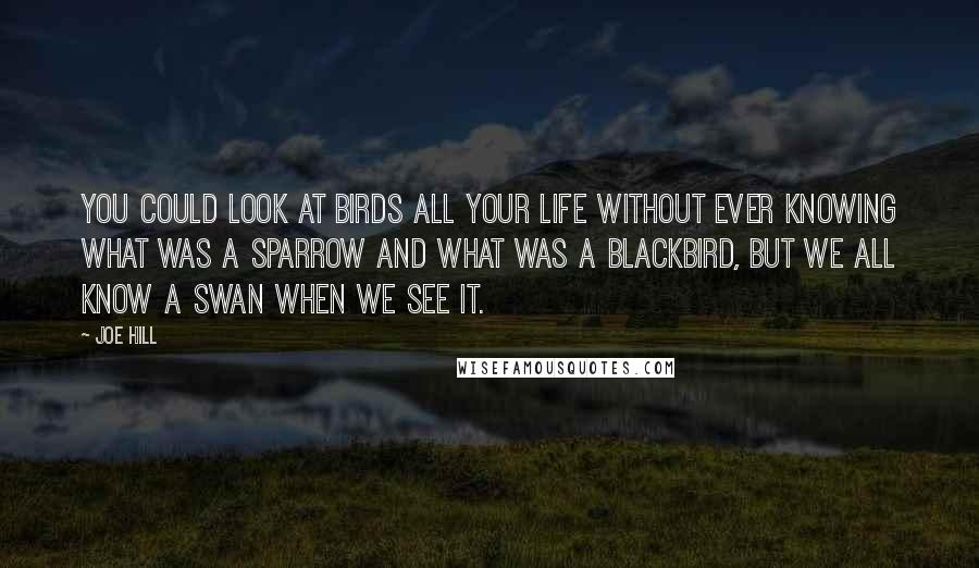 Joe Hill Quotes: You could look at birds all your life without ever knowing what was a sparrow and what was a blackbird, but we all know a swan when we see it.