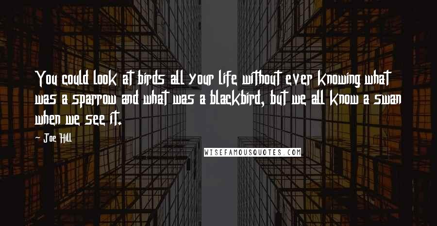 Joe Hill Quotes: You could look at birds all your life without ever knowing what was a sparrow and what was a blackbird, but we all know a swan when we see it.