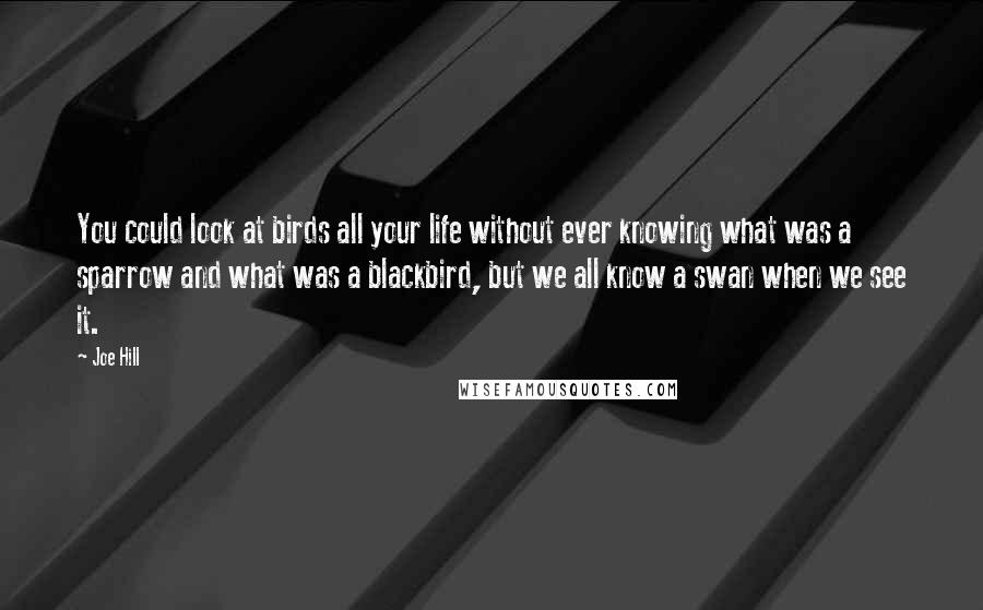 Joe Hill Quotes: You could look at birds all your life without ever knowing what was a sparrow and what was a blackbird, but we all know a swan when we see it.