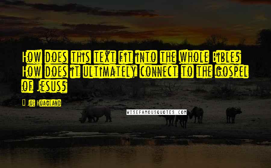 Joe Hoagland Quotes: How does this text fit into the whole Bible? How does it ultimately connect to the gospel of Jesus?