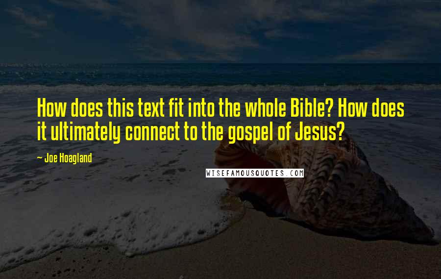 Joe Hoagland Quotes: How does this text fit into the whole Bible? How does it ultimately connect to the gospel of Jesus?