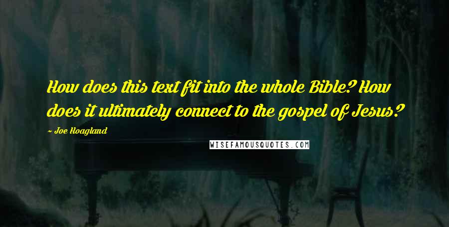 Joe Hoagland Quotes: How does this text fit into the whole Bible? How does it ultimately connect to the gospel of Jesus?