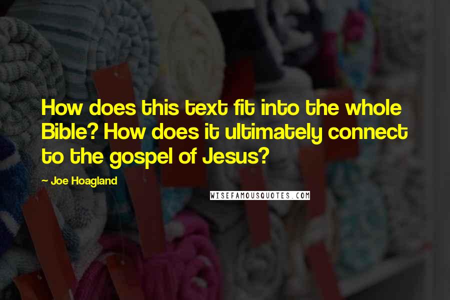 Joe Hoagland Quotes: How does this text fit into the whole Bible? How does it ultimately connect to the gospel of Jesus?