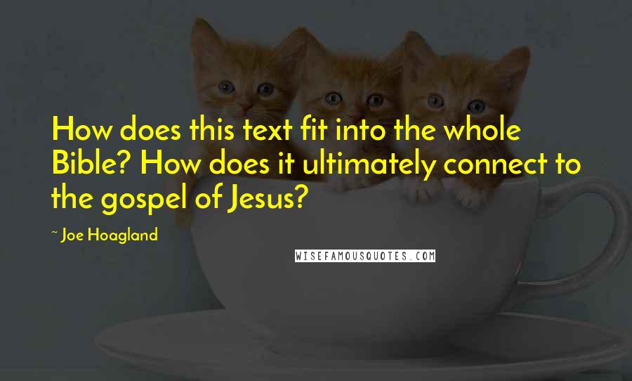 Joe Hoagland Quotes: How does this text fit into the whole Bible? How does it ultimately connect to the gospel of Jesus?